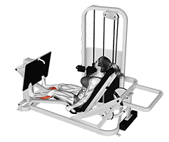 Lever Seated Calf Press exercise demonstration