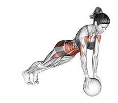 Jack Plank on Medicine Ball exercise demonstration