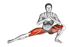 Cossack Squats exercise demonstration for Quadriceps, and Thighs, Body weight