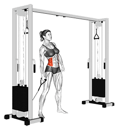 Cable Side Bend exercise demonstration