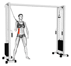 Cable Side Crunch exercise demonstration