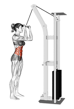 Cable Standing Crunch exercise demonstration for Waist, Cable