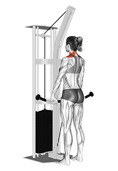 Cable Shrug exercise demonstration