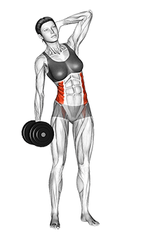 Dumbbell Side Bend exercise demonstration