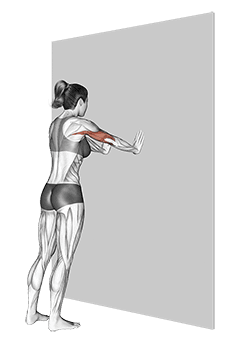 Push-up exercise demonstration