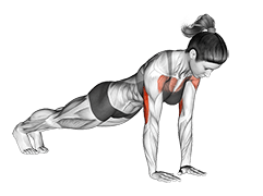 Close-Grip Push-up exercise demonstration