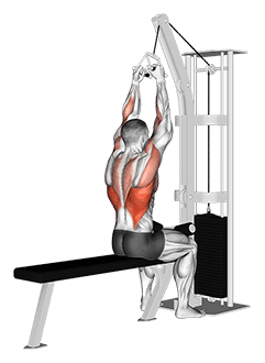 Cable Lateral Pulldown with V-bar exercise demonstration for Back, Cable