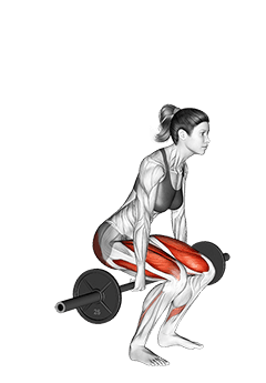 Barbell Hack Squat exercise demonstration for Thighs, Barbell