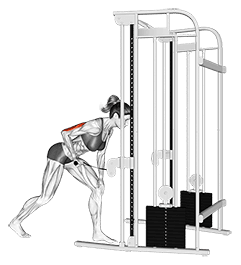 Cable kickback exercise demonstration
