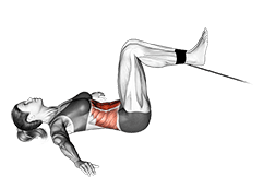 Cable Reverse Crunch exercise demonstration