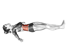 Hip Raise exercise demonstration for Waist, Body weight