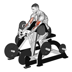Lever Preacher Curl exercise demonstration for Biceps, and Upper Arms, Leverage machine