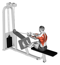 Cable Seated Row with V bar exercise demonstration