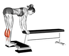 Donkey Calf Raise exercise demonstration for Calves, Body weight