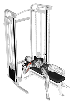 Cable Bench Press exercise demonstration