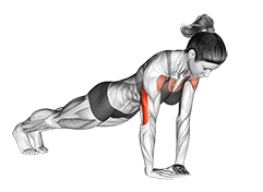 Diamond Push up exercise demonstration for Upper Arms, Body weight