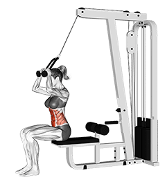 Cable Seated Crunch exercise demonstration