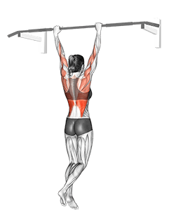 Rocky Pull Up Pulldown exercise demonstration for Back, Body weight