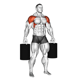 StrongMan Crucifix Hold exercise demonstration