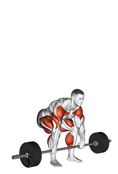 StrongMan Apollons Axle exercise demonstration for Thighs, Barbell