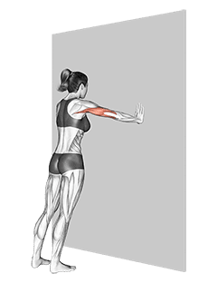 Wide Push-up exercise demonstration