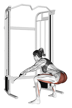 Cable Standing Hip Thrust exercise demonstration for Hips, Leverage machine