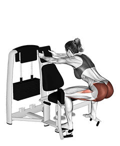 Lever Abduction Squat exercise demonstration for Hips, Leverage machine