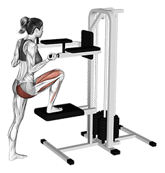 Lever Assisted Leg Press exercise demonstration for Hips, Leverage machine