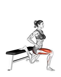 Split Squat exercise demonstration