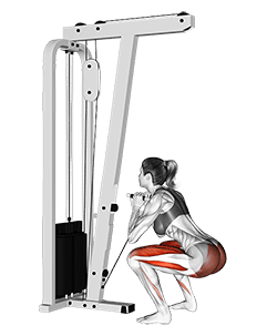 Cable Stand-up exercise demonstration