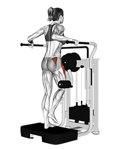 Lever Side Hip Abduction exercise demonstration for Hips, Leverage machine