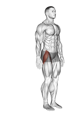 Hip - Abduction - Articulations exercise demonstration for Hips, Body weight