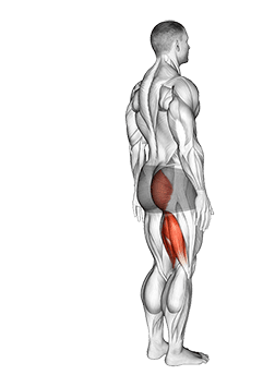 Hip - Extension - Articulations exercise demonstration for Hips, Body weight