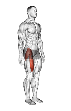 Hip - Flexion - Articulations exercise demonstration for Hips, Body weight