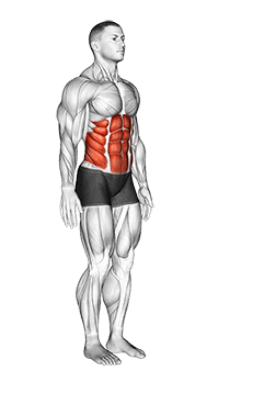 Spine exercise demonstration for Hips, Body weight