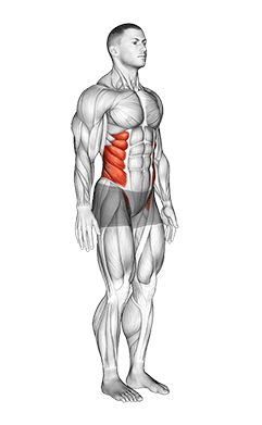 Spine exercise demonstration for Hips, Body weight