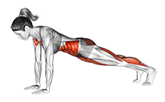 Plank Jump exercise demonstration for Waist, Body weight