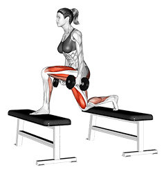 Dumbbell Step-up Lunge exercise demonstration for Quadriceps, and Thighs, Dumbbell