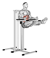 Twisted Leg Raise exercise demonstration for Waist, Body weight