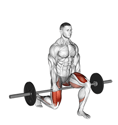 Barbell Split Squat exercise demonstration for Hips, Barbell