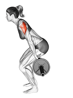 Barbell Skier exercise demonstration for Shoulders, Barbell