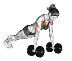 Deep Push-Up exercise demonstration for Chest, Dumbbell