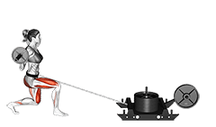 Power Sled Rear Lunge exercise demonstration