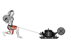 Power Sled Rear Lunge exercise demonstration