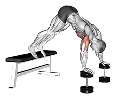Pike Push-up exercise demonstration for Chest, Body weight