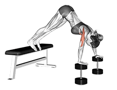 Pike Push-up exercise demonstration for Chest, Body weight