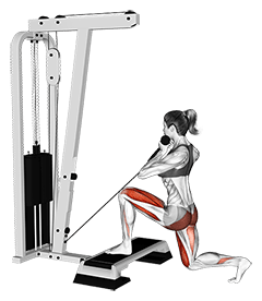 Cable Rear Lunge from Stepbox exercise demonstration for Thighs, Cable