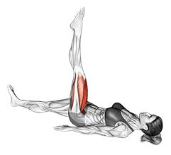 Lying Single Leg Circle exercise demonstration