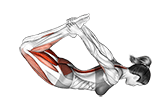 Rocking exercise demonstration