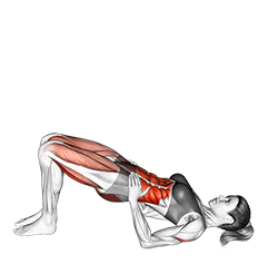 Shoulder Bridge exercise demonstration for Thighs, Body weight